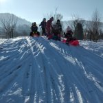 phoca_thumb_m_snh krteci 17 Fotogalerie